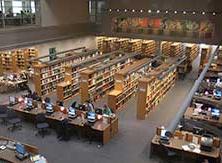 贝利图书馆
